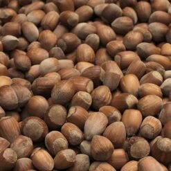 Filbert - Corylus Maxima Kentish Cob -Fruit Garden Shop Cobnut Kentish Cob 02