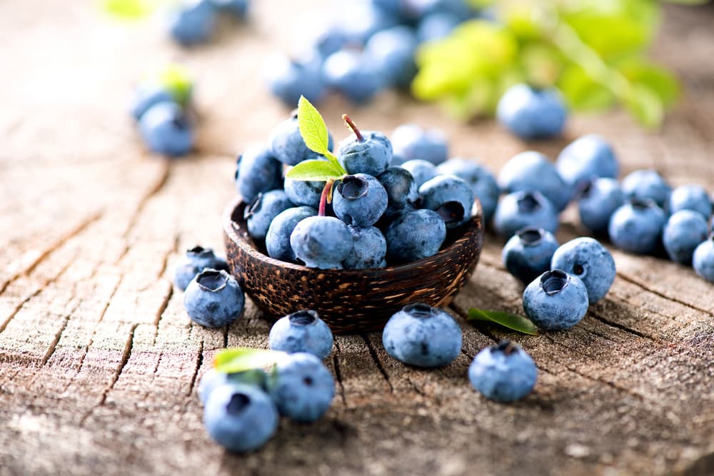 Fruit Garden Shop 19 Fruit Garden Shop -Fruit Garden Shop mot cai ro nho dung viet quat tren mat ban go voi mot so qua viet quat rai rac xung quanh